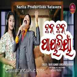 Chhan Chhan Payaliyan